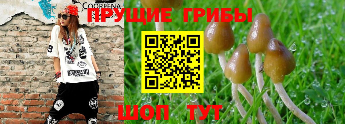 Галлюциногенные грибы Magic Shrooms  Вход с VPN  Галлюциногенные грибы Magic Shrooms  Красноуфимск 