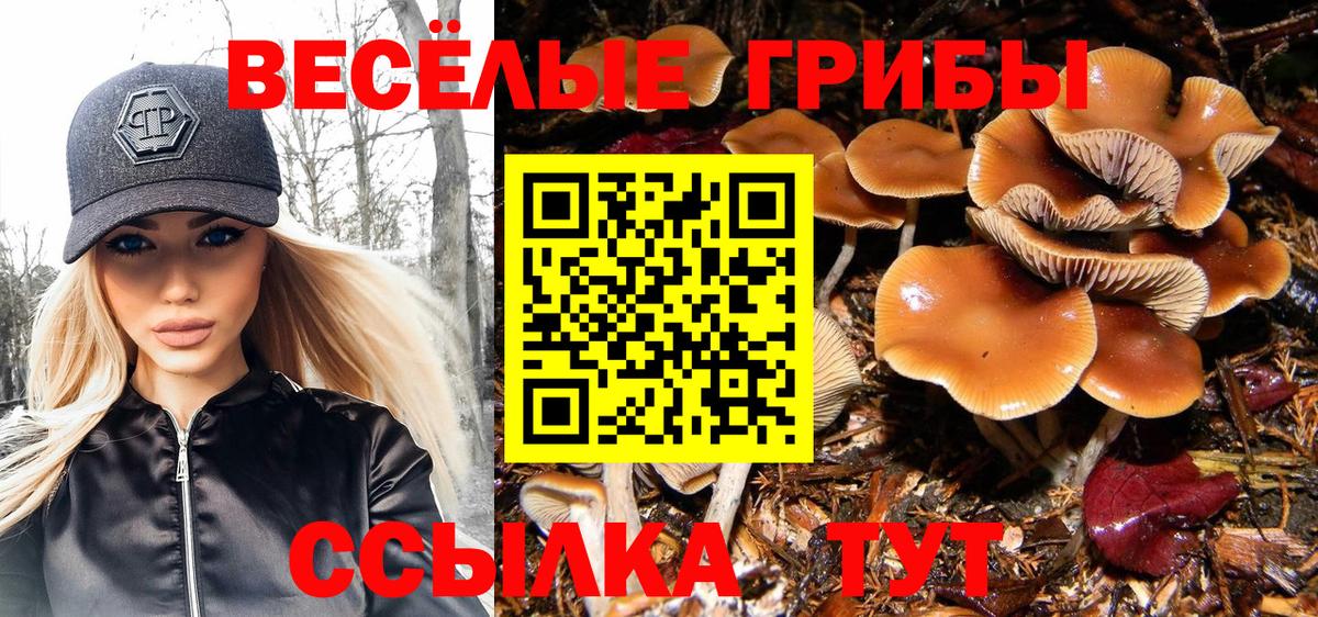 Галлюциногенные грибы Magic Shrooms Красноуфимск